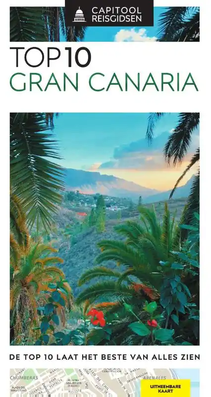 Capitool Top 10 Gran Canaria Rechtstreeks Van De Fabrikant