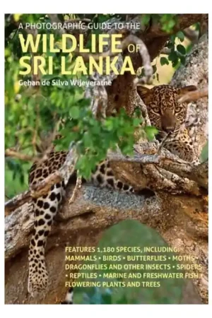 A Photographic Guide to the Wildlife of Sri Lanka Goedkoop
