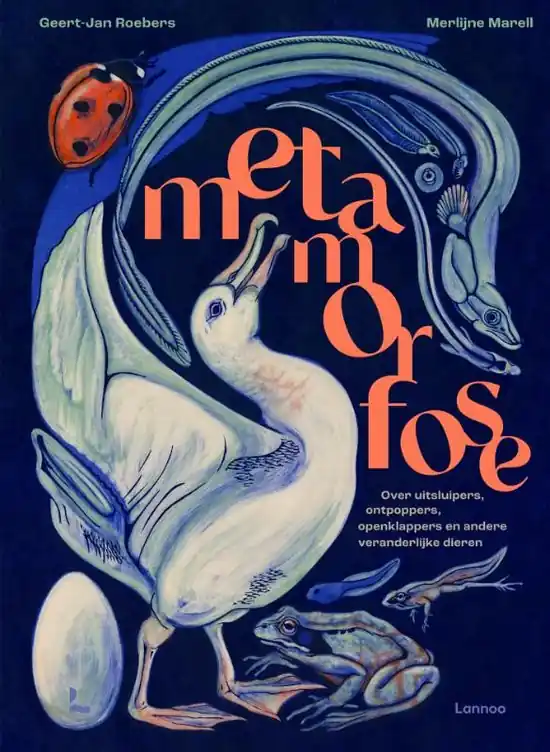 Must-Have Metamorfose | Geert-Jan Roebers en Merlijne Marell