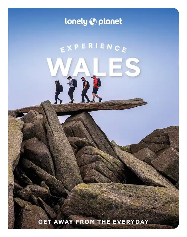 Favoriet Experience Wales | Lonely Planet