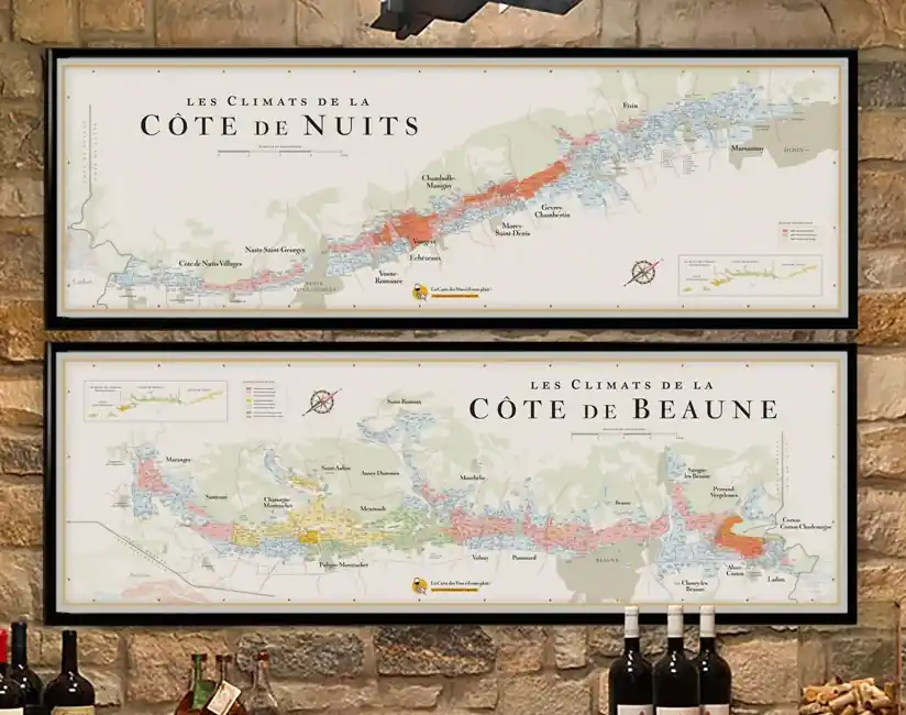 Koop Online Côte de Nuits, Côte de Beaune - Carte des Vins