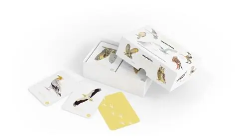 Koop Online Roofvogels en Uilen memospel