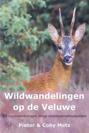 Wildwandelingen op de Veluwe | wandelgids Pieter Metz Op = Op