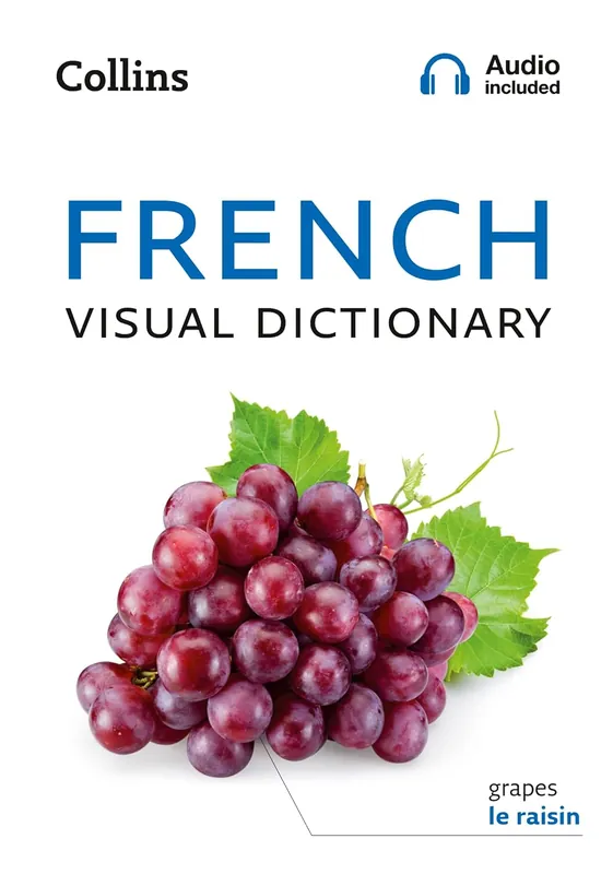 French Visual Dictionary Alleen Vandaag