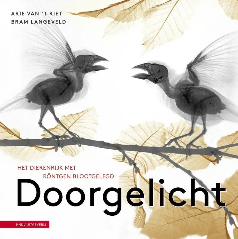 Exclusieve Aanbieding Doorgelicht | Bram Langeveld