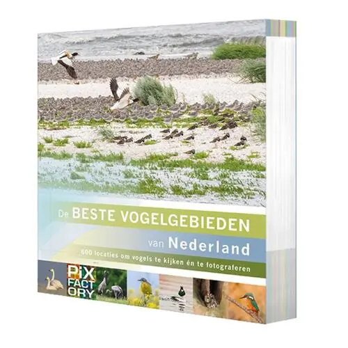 Must-Have De beste vogelgebieden van Nederland