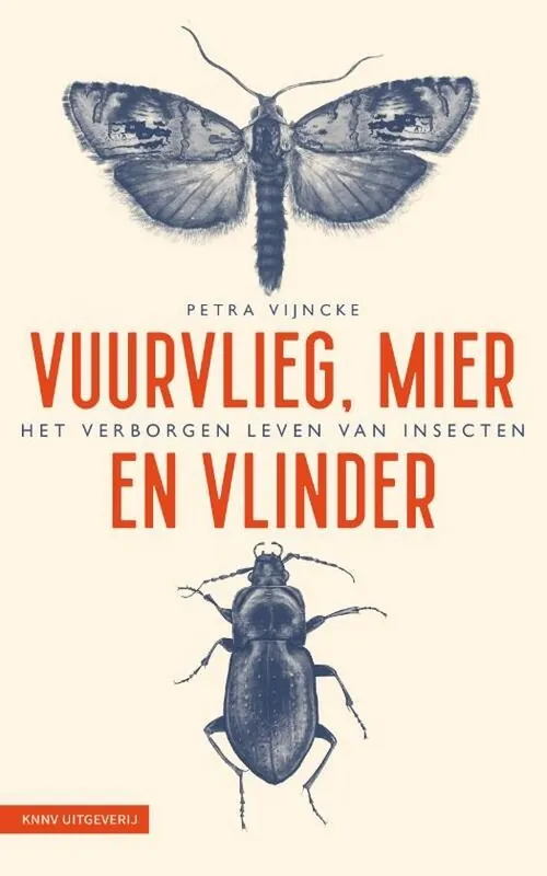 Vuurvlieg, mier en vlinder | Petra Vijncke Gecertificeerd
