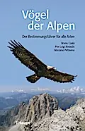 Vögel der Alpen | vogelgids Alpen Fabrieksprijs