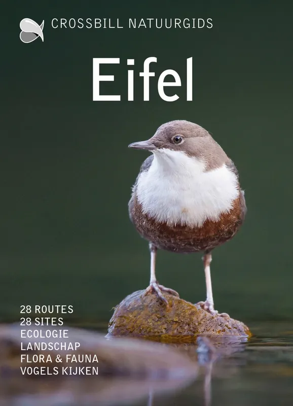 Crossbill Guide Eifel | Olaf op den Kamp Rechtstreeks Van De Fabrikant