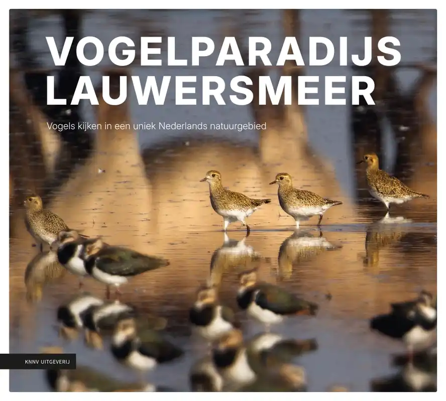 Favoriet Vogelparadijs Lauwersmeer | Sijmen Hendriks