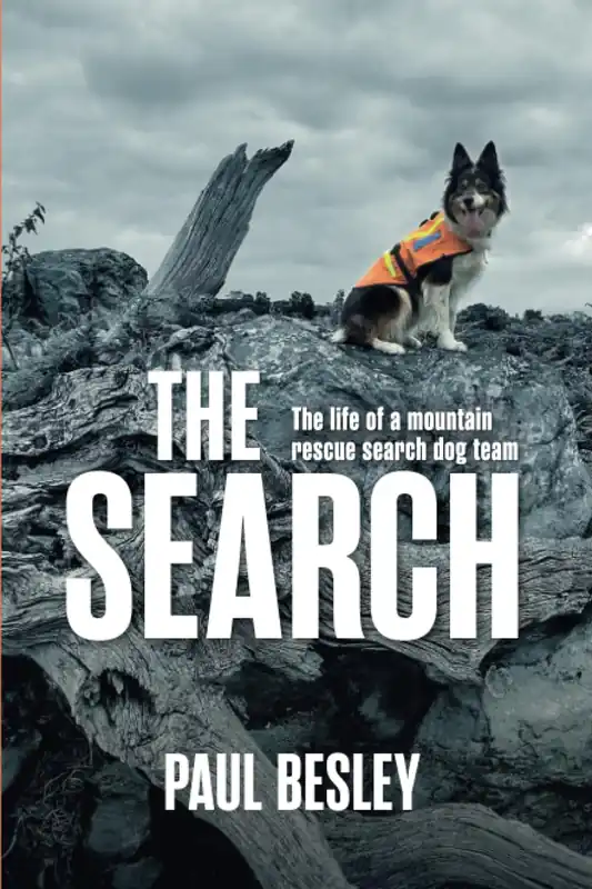 Beste Prijs The Search | Paul Besley