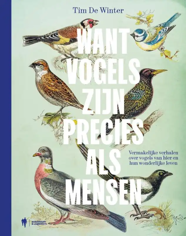 Want vogels zijn precies als mensen Snelle Levering