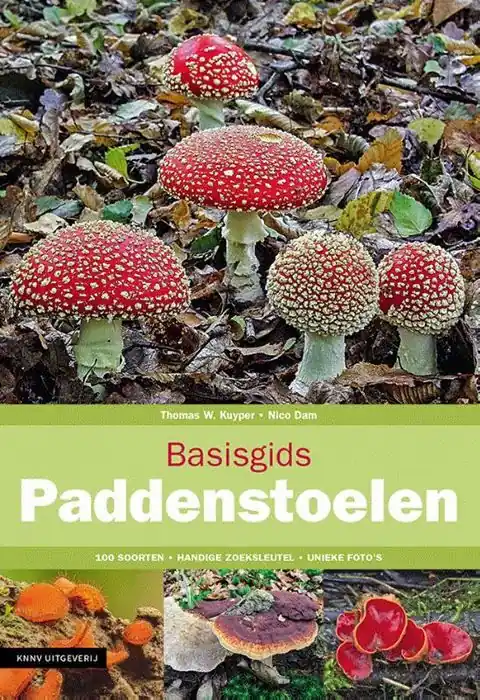 Merkproduct Basisgids Paddenstoelen