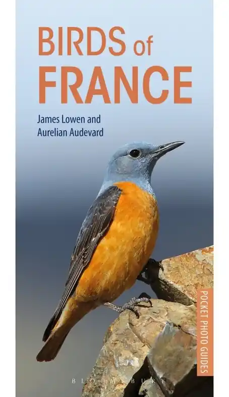 Birds of France | vogelgids Frankrijk Alleen Vandaag