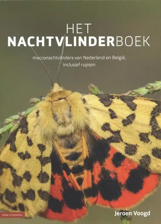 Het nachtvlinderboek Must-Have