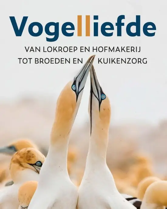 Nieuw Vogelliefde