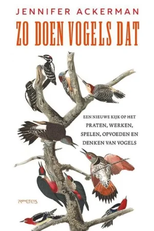 Zo doen vogels dat Korting