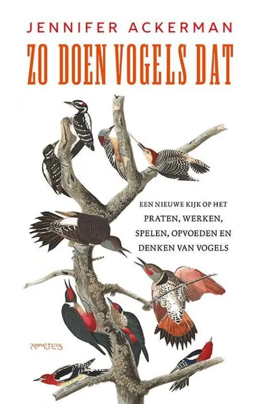 Zo doen vogels dat Korting