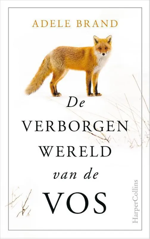De verborgen wereld van de vos Direct Beschikbaar