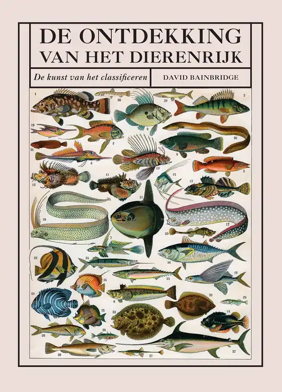 Alleen Vandaag De Ontdekking van het Dierenrijk | David Bainbridge
