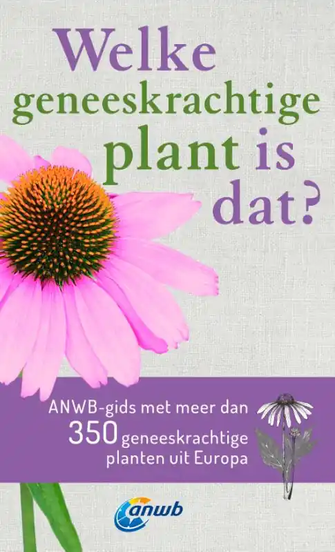 Welke Geneeskrachtige Plant is dat? Bestel Nu