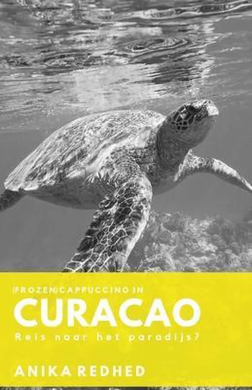 Rechtstreeks Van De Fabrikant Cappuccino in Curaçao | reisverhaal Anika Redhed