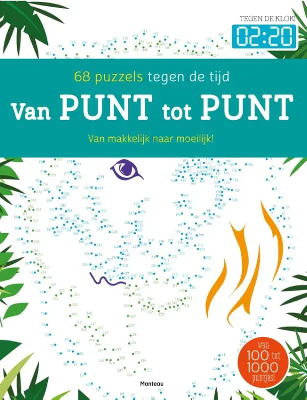 Beperkte Voorraad 72 puzzels tegen de tijd, van makkelijk n aar moeilijk!