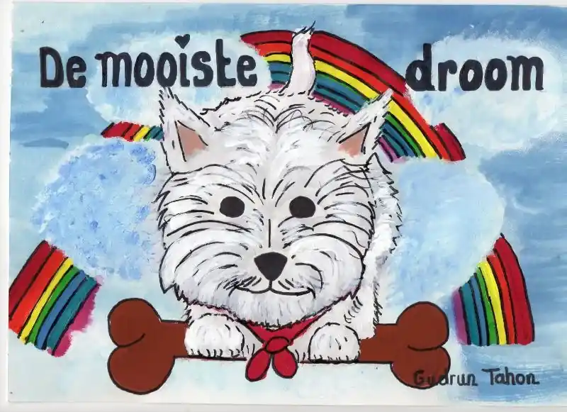 Meest Verkocht De mooiste droom