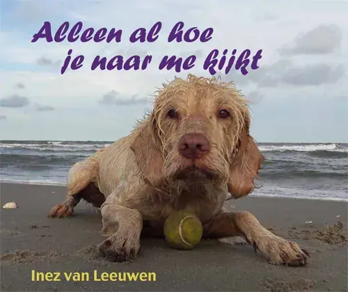 Alleen al hoe je naar me kijkt Voordeelprijs