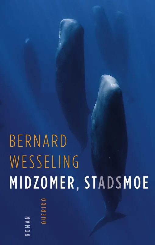 Favoriet Midzomer, stadsmoe