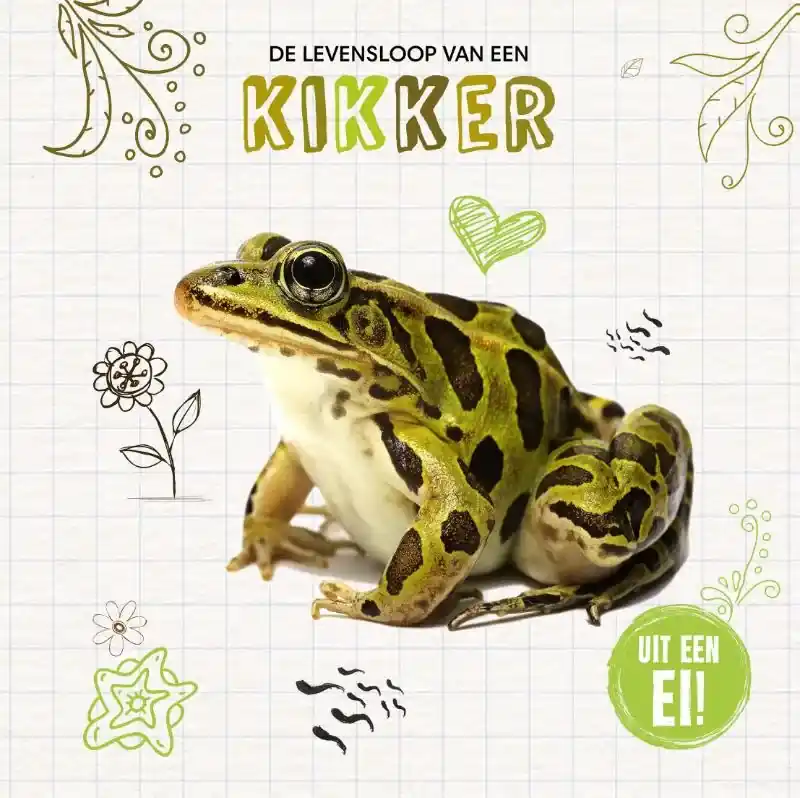 De levensloop van een kikker Gratis Retour
