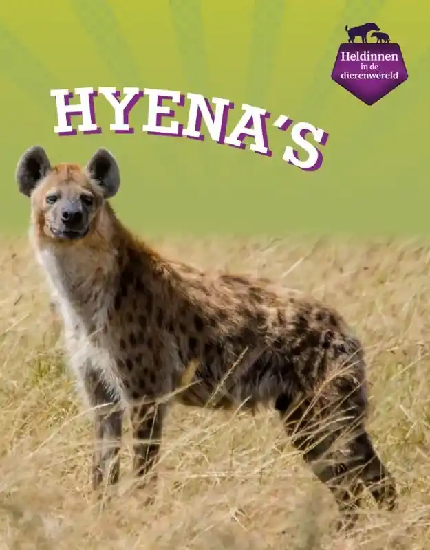 Hyena's Nieuw