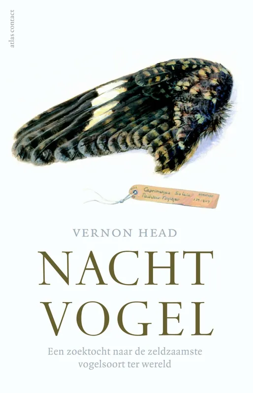 Hete Deal Nachtvogel