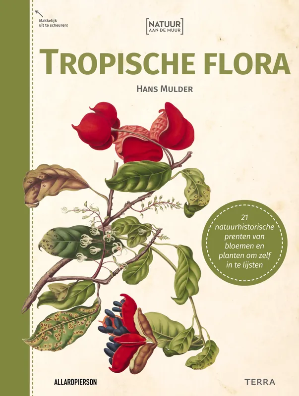 Merkproduct Natuur aan de muur - Tropische Flora