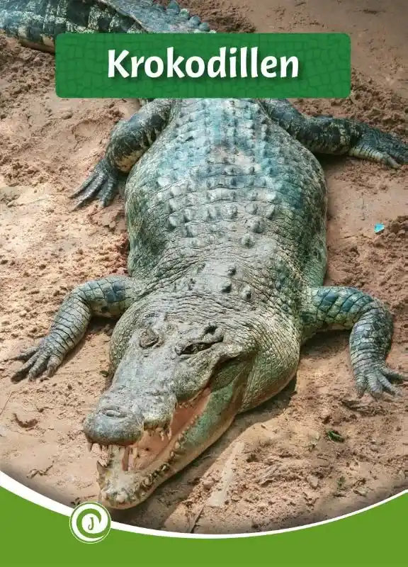 Bestel Nu Krokodillen