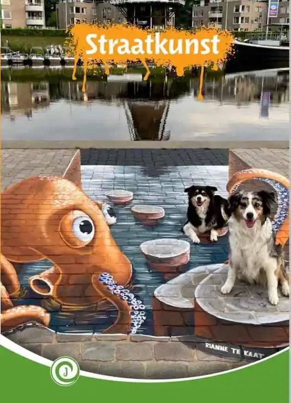Straatkunst Hoge Kwaliteit