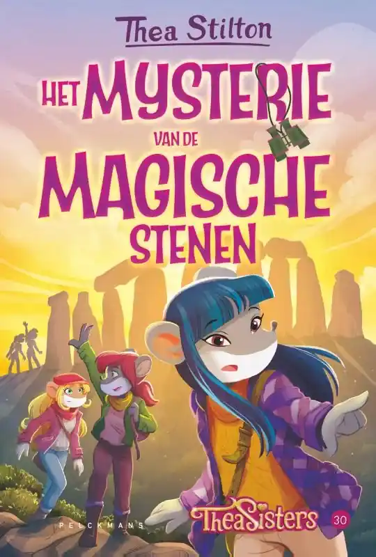 Het mysterie van de magische stenen Seizoensaanbieding