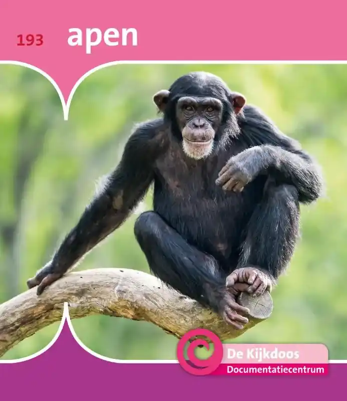 Hete Deal Apen
