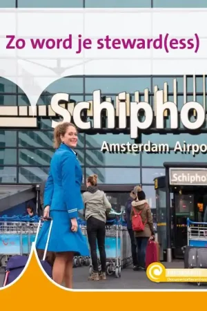 Zo word je steward(ess) Rechtstreeks Van De Fabrikant