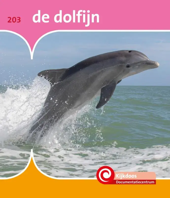 Weekendaanbieding Dolfijn