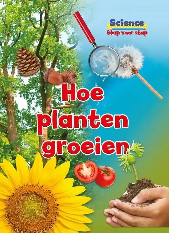 Hoe planten groeien Nieuw