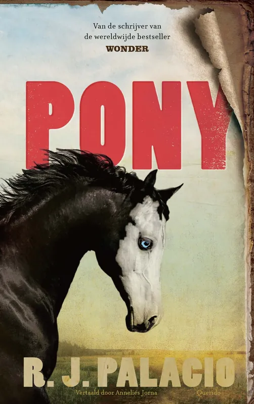 Pony Tijdelijk Beschikbaar