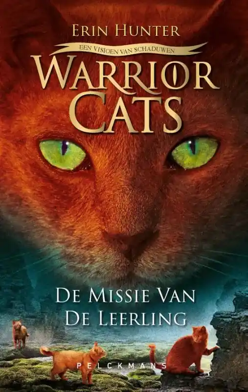 De missie van de leerling Veilige Betaling