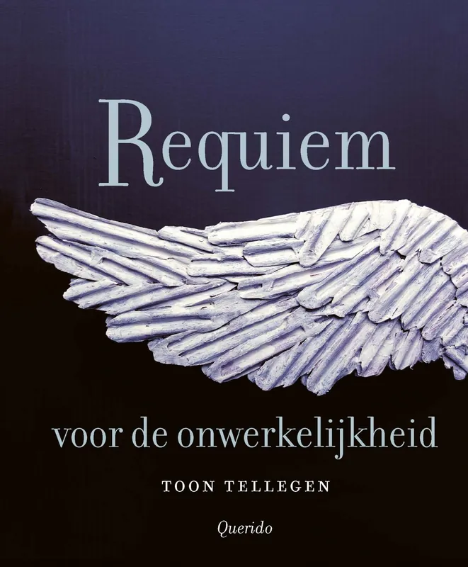 Requiem voor de onwerkelijkheid Voordeelprijs