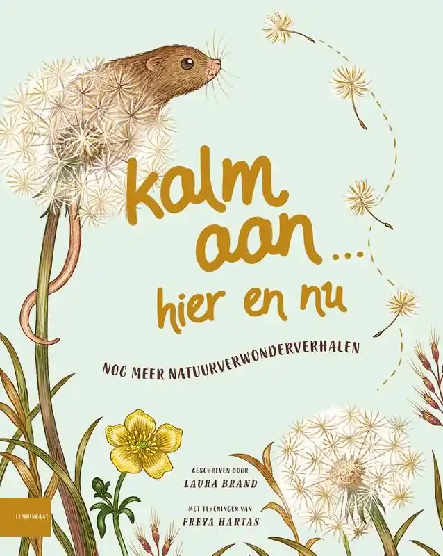 Kalm aan… Hier en nu Lage Kosten