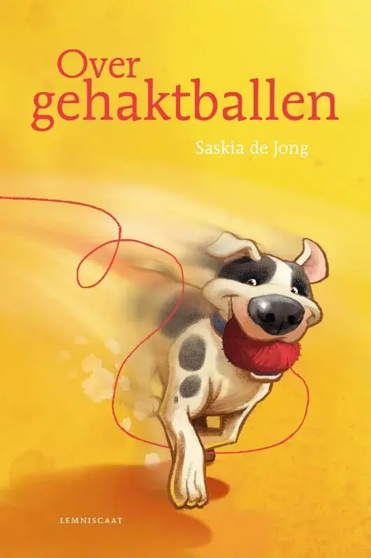 Over gehaktballen Dagaanbieding