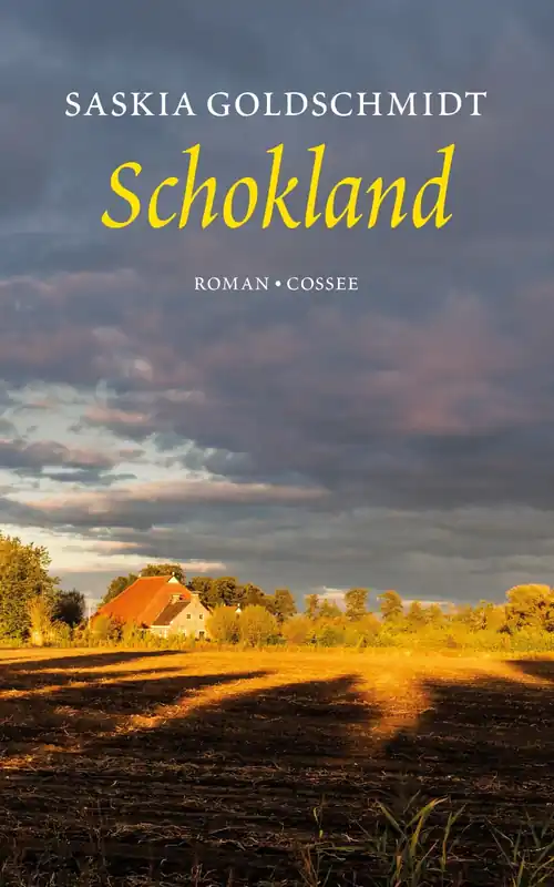 Schokland Lage Prijs