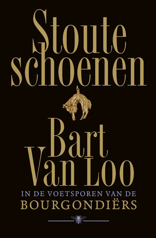 Stoute schoenen Koop Vandaag