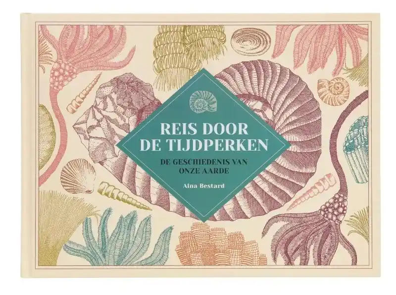 Lage Kosten Reis door de tijdperken