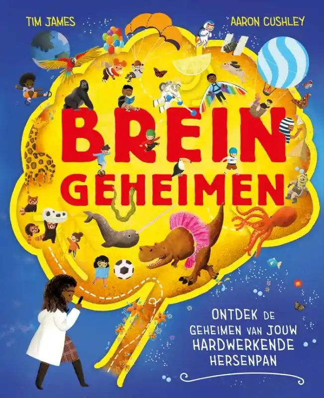 Snelle Levering Breingeheimen